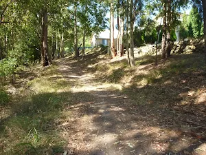 Fire trail behind houses in Green Point Reserve