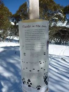 Tracks in the snow information sign