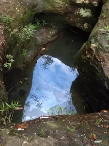 Pond in Magdala Creek