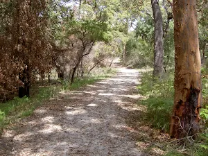 Mackerel Beach service trail