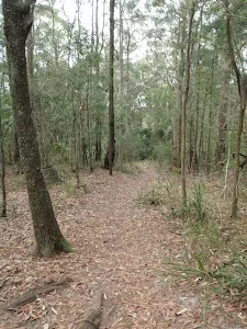 Flat section of Toomey Walk