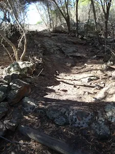 Track up the hill from Kianiy picnic area