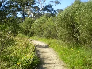 Very well managed the track weaves its way beside the creek