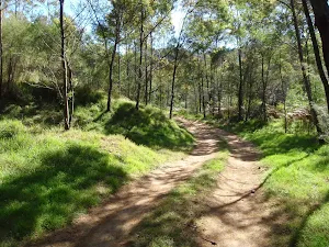 The old Ten Mile Hollow Rd