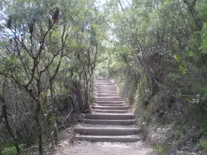 The Princes Rock Track