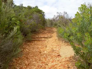 Track to Wagstaff