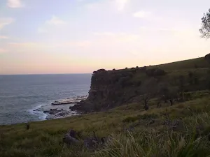 The view of the coast from the grasslands south of Burning Palms Beach