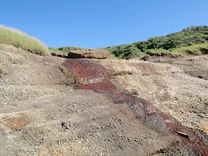 Rock wall at the back of Timber Beach