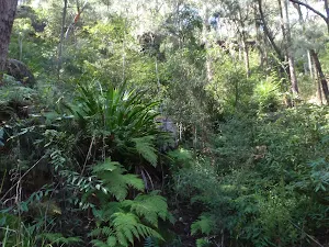 Beautiful and green