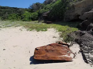 Some rubbish on Snapper Point beach