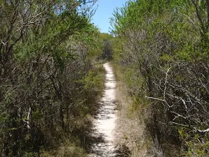Track through heath to North Tura