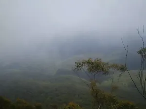 The valley from the top of Mt Solitary