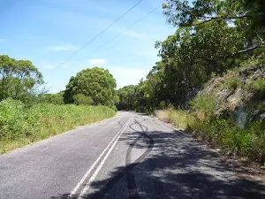 The old Pacific Hwy as part of the Wallarah Pennisula walk