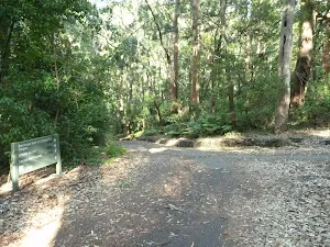 Intersection and sign in the Blackbutt Reserve