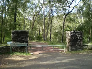 South end of Lady Carrington Drive