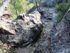 Track on ledge between Pisgah Rock and Erskine Creek