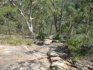 Near Axe Groves site
