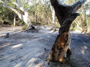 Tank Creek Campsite
