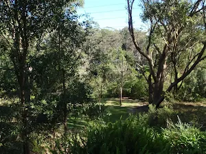 Along Redgum Ave