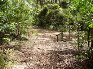 Intersection north of Walkers Ridge and Murrays Forest Roads