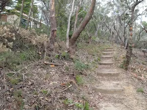 Track up to Gladstone Rd