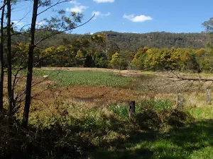 Park Gully wet land