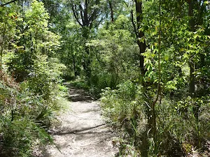 The Great north Walk in Charleston 