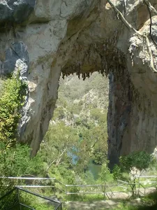 Jenolan Karst Reserve