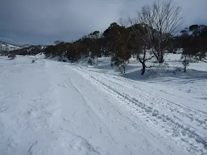 Crossing Link Road in winter