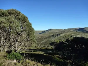 Scenic landscapes