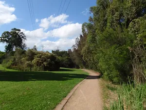 folling the powerlines
