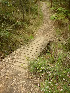 Small Flat timber Bridge north of the Jungo