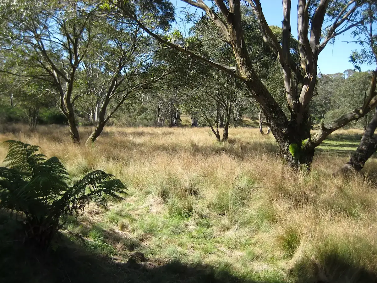 Little Murray camping area