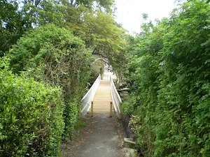 Manly Scenic Walkway