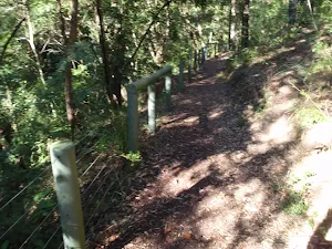 A fence beside the track