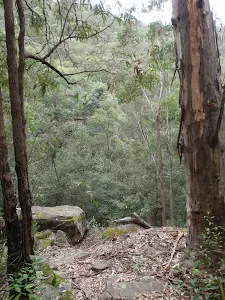 View into the Gorge from Plateau Pde Trk
