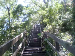 looking up the Casuarina Steps