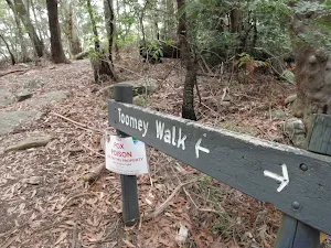 Toomey walk sign