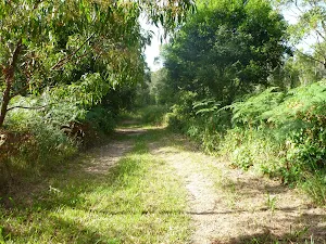 Wide section of track on the Galgabba Point walk
