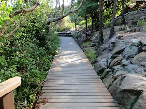 Sections of the track are boardwalk