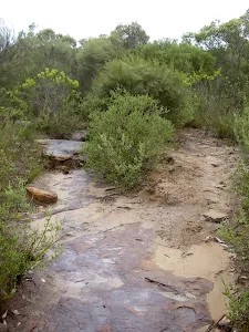 Track away from Deer Pool