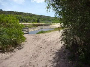 Trail with Pinney's creek in the distance