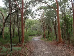 Cascades Track near St Ives