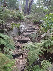 rock steps