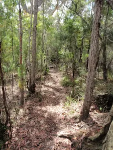 Highway Ridge track