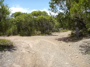 Trail intersection on the Wallarah Pennisula 