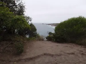 Clear view from an opening next to the track