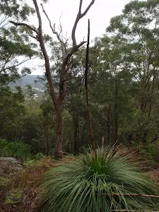 View from the track