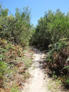 Geebung Track