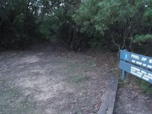 Narrow track at the lower end of Gordon falls Park